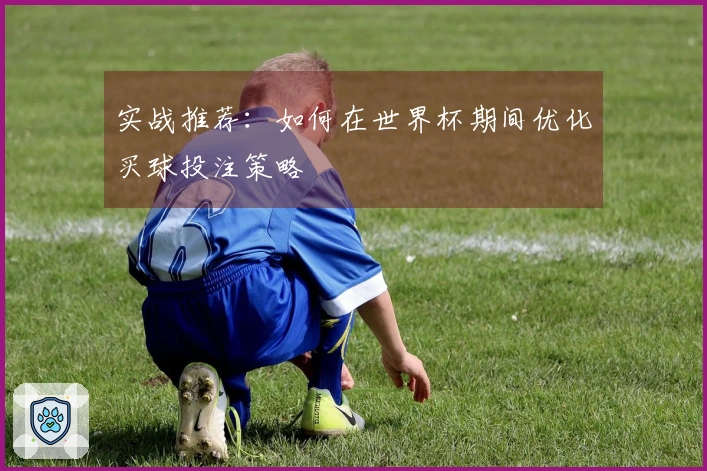 实战推荐：如何在世界杯期间优化买球投注策略