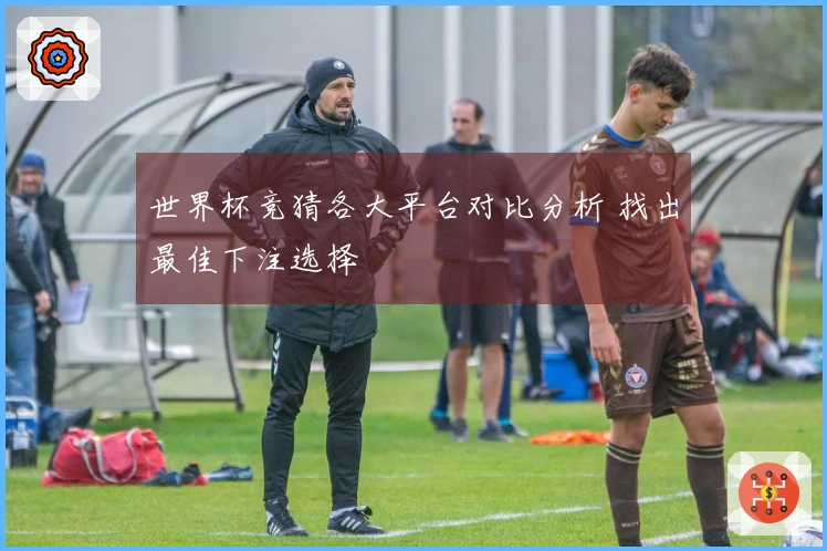 世界杯竞猜各大平台对比分析 找出最佳下注选择
