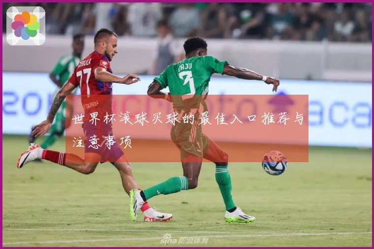 世界杯滚球买球的最佳入口推荐与注意事项