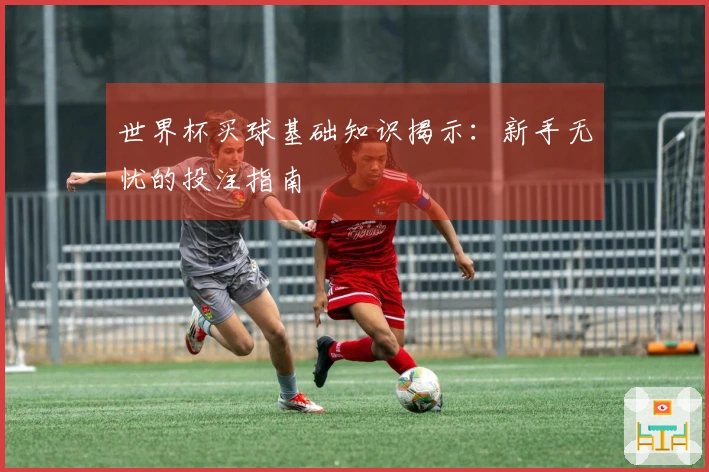 世界杯买球基础知识揭示：新手无忧的投注指南