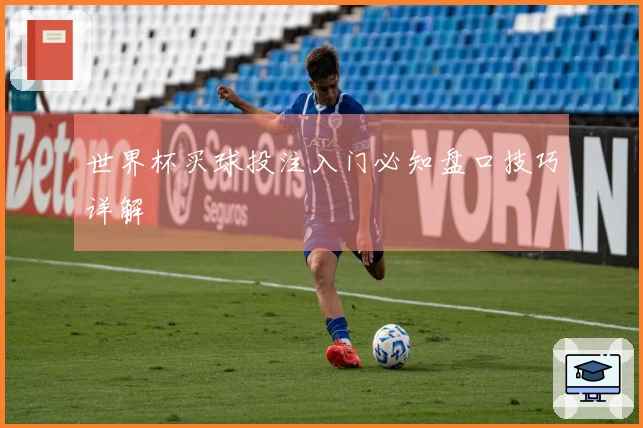世界杯买球投注入门必知盘口技巧详解
