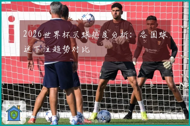 2026世界杯买球热度分析：各国球迷下注趋势对比