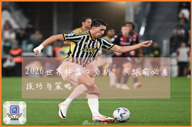 2026世界杯盘口分析：买球前必看技巧与策略