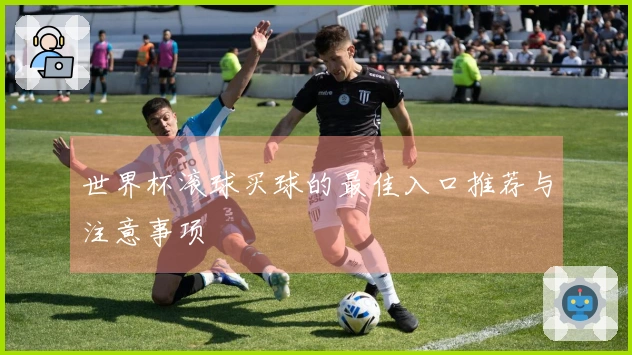 世界杯滚球买球的最佳入口推荐与注意事项